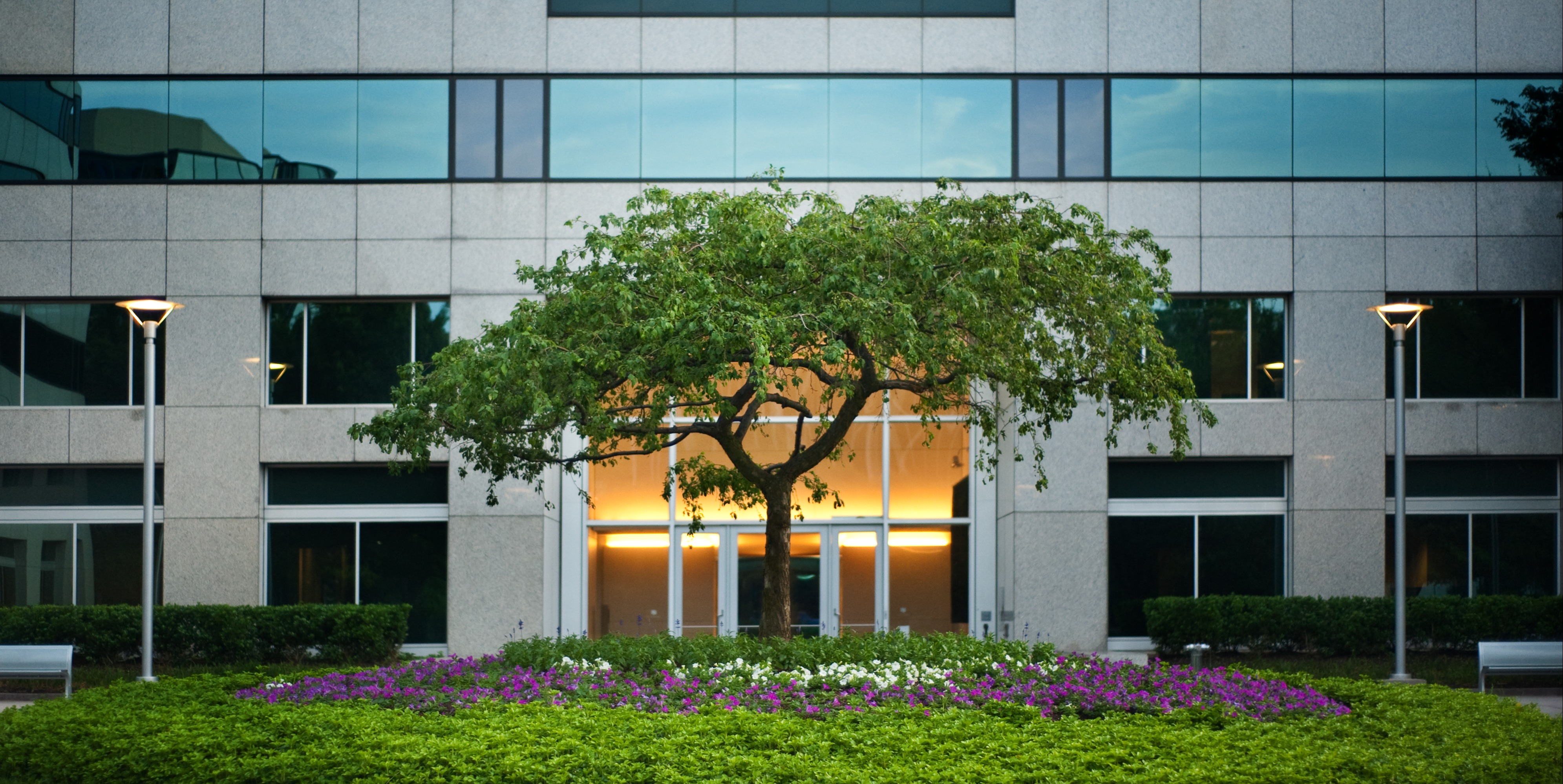 Commercial-Landscape-iStock-173864340